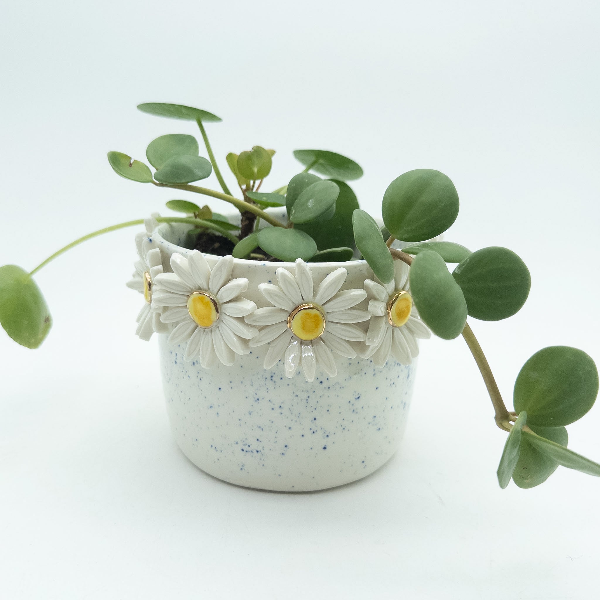 Krukke med margueritter