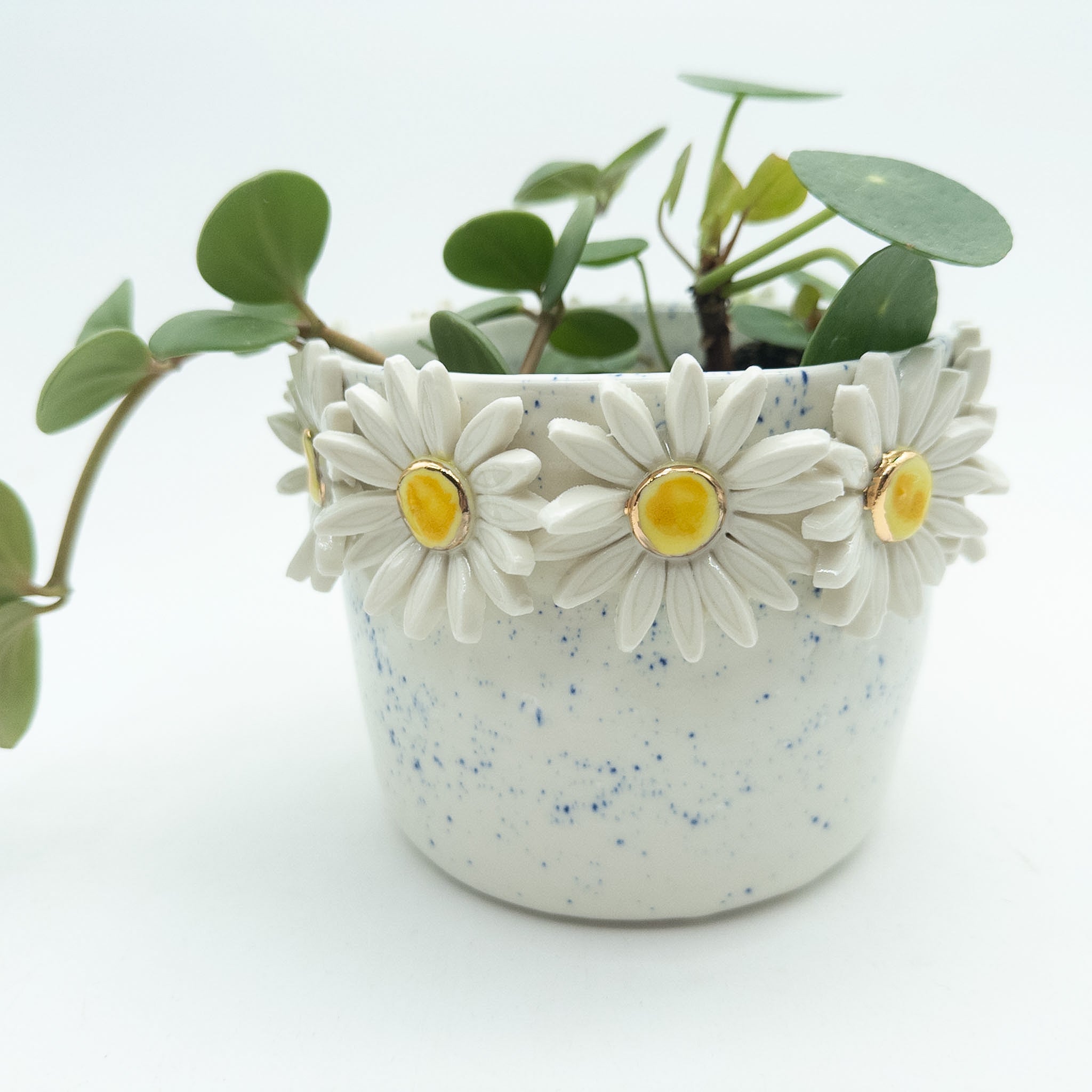 Krukke med margueritter