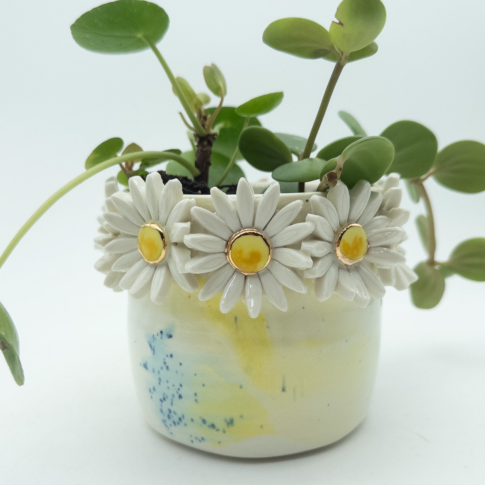 Krukke med margueritter