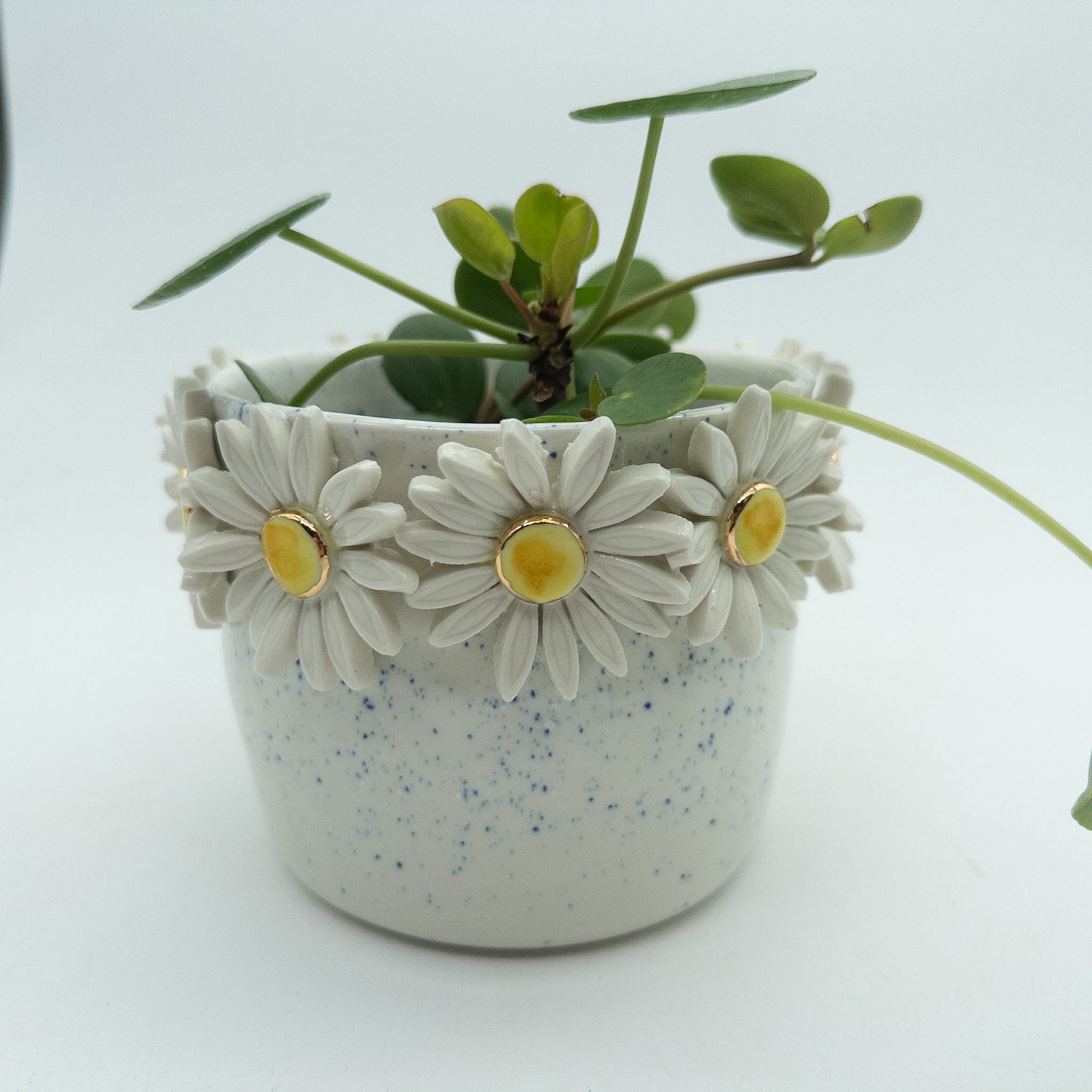 Krukke med margueritter