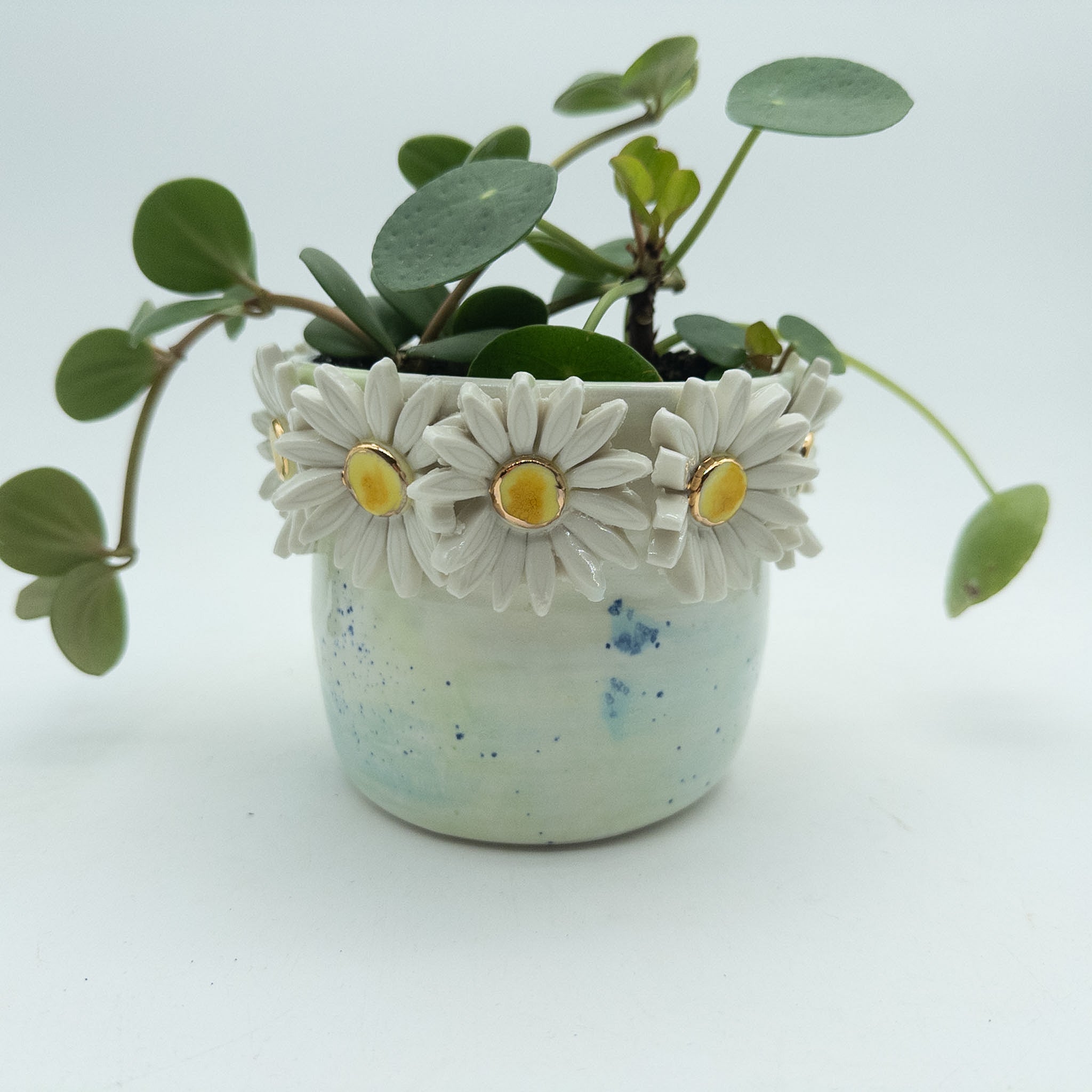 Krukke med margueritter