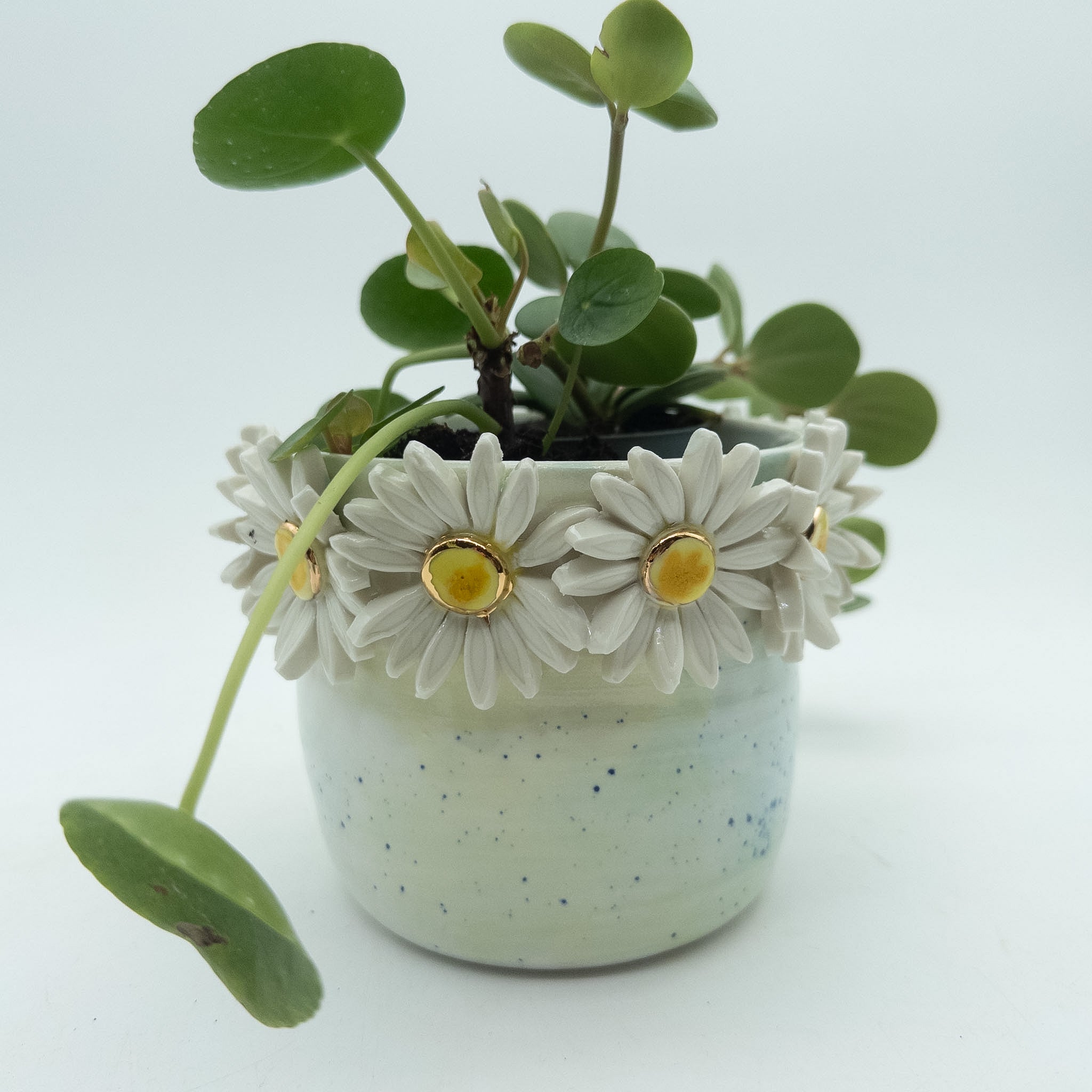 Krukke med margueritter