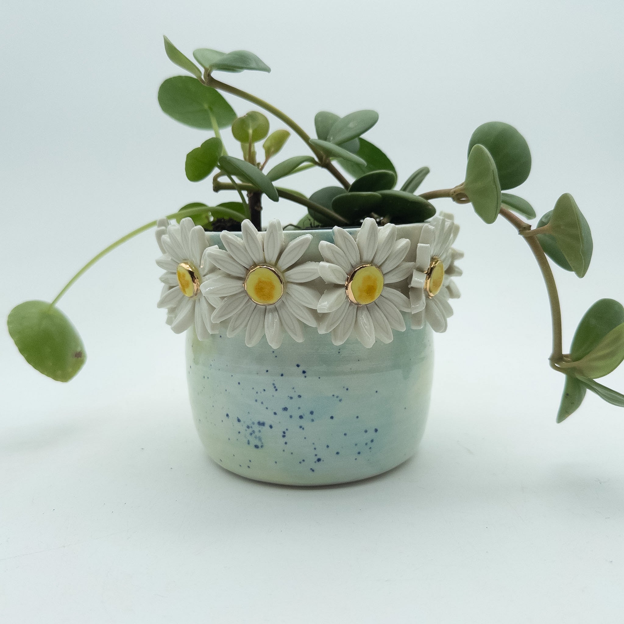 Krukke med margueritter