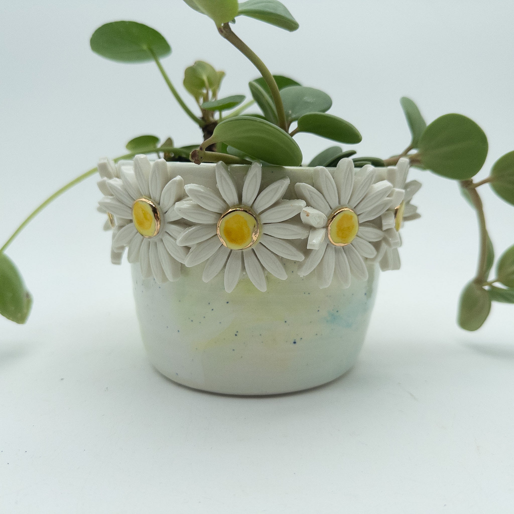 Krukke med margueritter