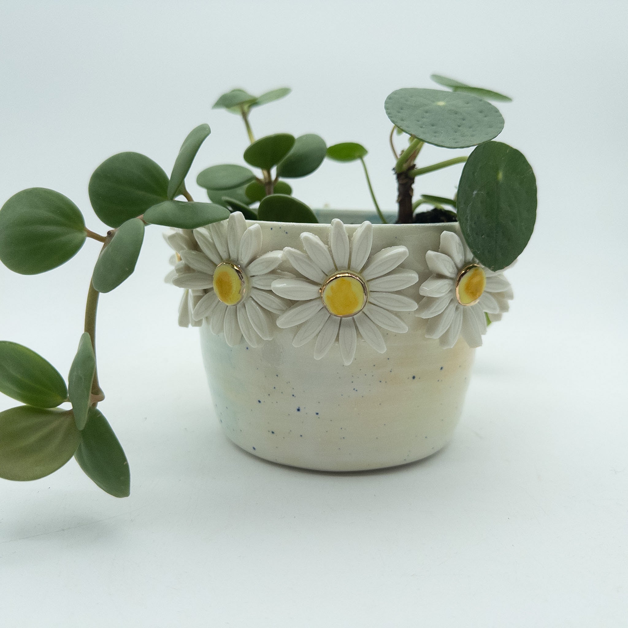 Krukke med margueritter