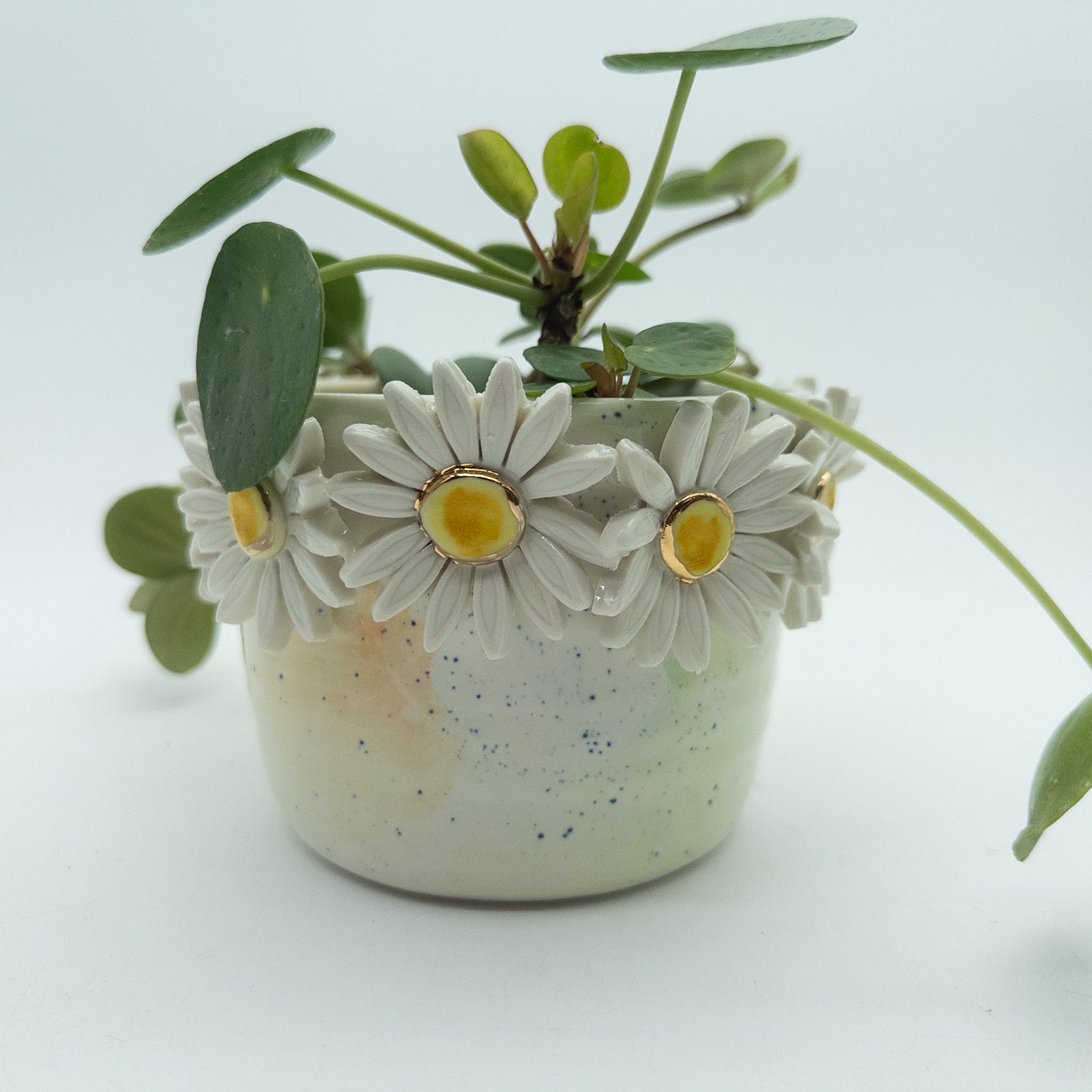 Krukke med margueritter